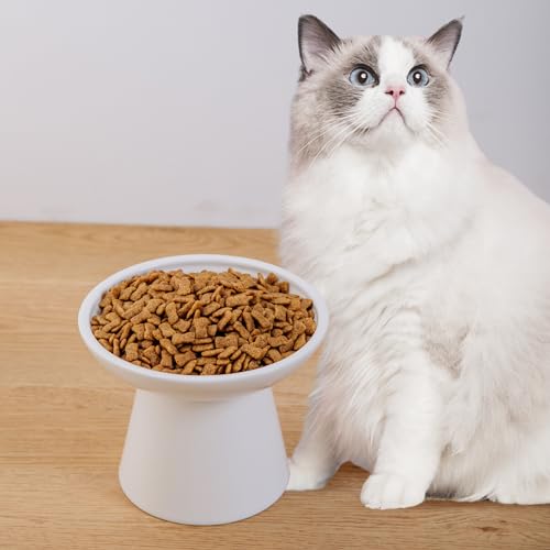 KITCHENLESTAR 6.2 Inch Extra Wide Elevated Ceramic Cat Bowls, Food and Water Bowl Set for Elder Big Cats Small Dogs, Raised Design for Pet Easy Eating, Protect Cat's Spine Set of 2(White)