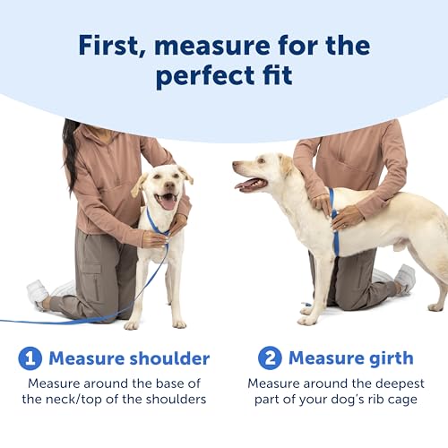 PetSafe Easy Walk Comfort No-Pull Dog Harness Full-Body Padding - Better Walks on the First Use - 5 Points of Adjustment Medium, Pink