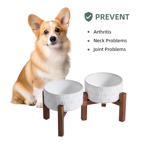 Havniva 6.1" Elevated Dog Bowls Ceramic Raised Dog Bowl with Non-Slip Stand (Acacia Wood) Two Height Options, Dog Food & Water Bowl for Small & Medium Breed Dogs - 3.4 Cups 27 oz