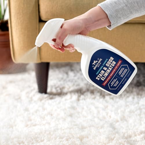 Rocco & Roxie Supply Co. Stain & Strong Odor Eliminator, Enzyme Cleaner, Pet Odor Eliminator for Home - Carpet Stain Remover for Cats & Dog Pee - Urine Destroyer - Carpet Cleaner Spray Clear, 32 Fl Oz