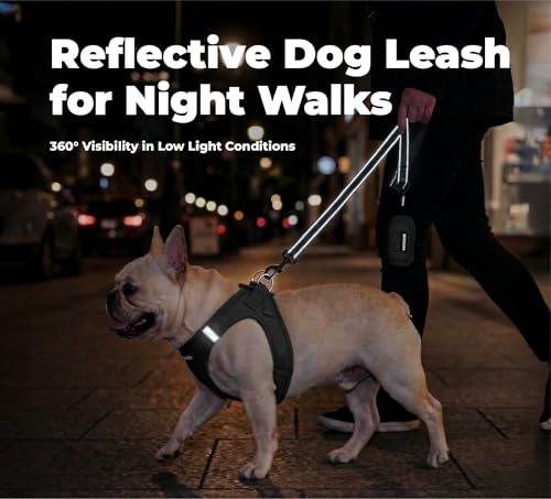 Best Pet Supplies Voyager Reflective Dog Leash or Collar with Neoprene Handle, for Small, Medium, and Large Breed Puppies, Cute and Heavy Duty for Walking, Running and Training - Black (Leash), M