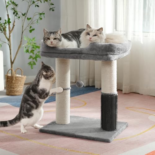 Pawfessor Cat Tree Tower for Large Cats Cat Scratching Post with 20x15.7”Wide Top Bed, Self Groomer, Thick Scratch Post [Dia=4.5”] and Danging Ball Great for Indoor Cats-Large Grey