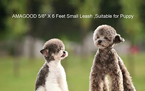 AMAGOOD 6 FT Puppy/Leash, Strong Traditional Style with Easy to Use Collar Hook, Great for Small, Medium and Large Dogs (5/8in x 6 ft, Purple)