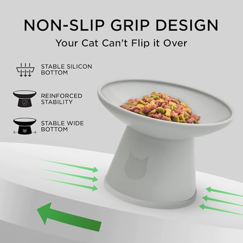 Necoichi 2pcs Extra-Wide Elevated Cat Food Bowls – BPA-Free Plastic Raised Bowls to Reduce Whisker & Neck Fatigue – Dishwasher Safe – Non-Slip, Anti-Vomiting Ergonomic Design(Classic)