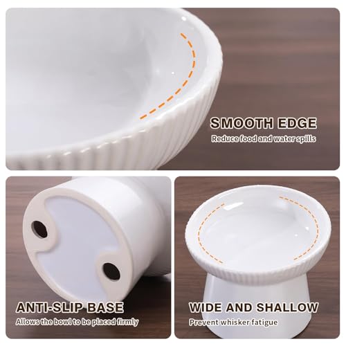 Elevated Cat Food Bowl, Ceramic Raised and Tilted Water Bowl, Whisker Fatigue Cat Bowls for Indoor Cats, Anti Vomiting and Protect Spines Pet Feeding Dishes for Kittens Small Dog, Heavy Non-Slip Base