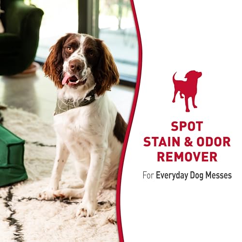 Nature’s Miracle Stain and Odor Remover Dog, 32 Ounces, Everyday Mess Enzymatic Odor Control Formula