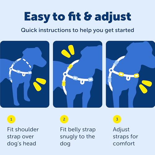 PetSafe Easy Walk No-Pull Dog Harness - Ultimate Harness to Help Stop Pulling - Pull-Free Walks - Take Control & Teach Better Leash Manners - Patented Martingale Loop Design - Black, Large
