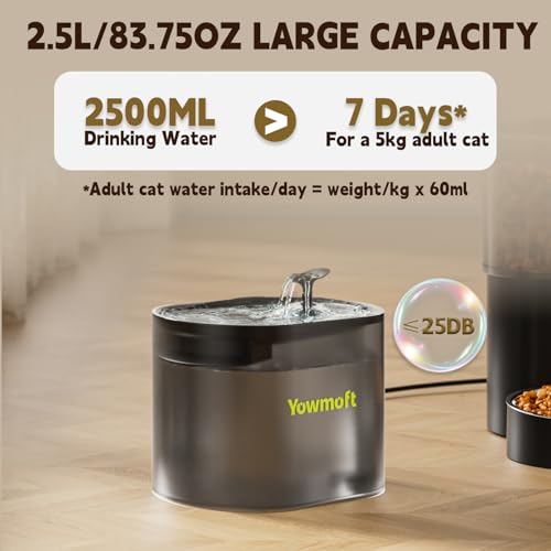 Automatic Cat Feeder & Fountain, 3L Timed Dry Food Dispenser, 10 Portions 1-4 Daily Meals, Auto Feeder with Desiccant Bag, Water Dispenser with Filter, Wire or Battery Powered