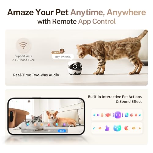 Enabot EBO ROLA Mini FamilyBot 2K Pet Camera Robot: Movable Indoor Camera Battery-Powered with Phone App, One-Touch Call, 2-Way Talk, Night Vision, Motion Detection, Video Recording