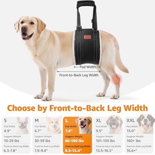LOOBANI Portable Dog Sling for Back Legs, Hip Support Harness to Help Lift Rear for Canine Aid Old K9 Cruciate Ligament Rehabilitation