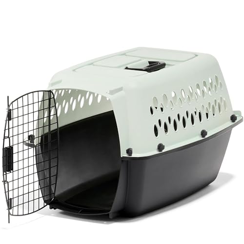Petmate Pet Porter Fashion Dog Kennel Plastic Crate for Pets 15-20 lbs, Pet Carrier For Home and Travel, Made in USA, 24" L x 14.5" H, Pale Aqua and Black