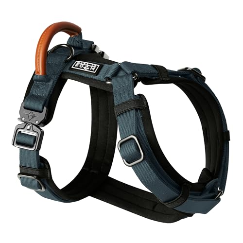 MADE TO ROAM Premium Explorer Harness - Y-Shaped Dog Harness with Adjustable Durable Nylon, Soft Padding, Metal Buckles and Leather Handle for Small, Medium, Large Dogs (Colorado Nightsky, Size 5)