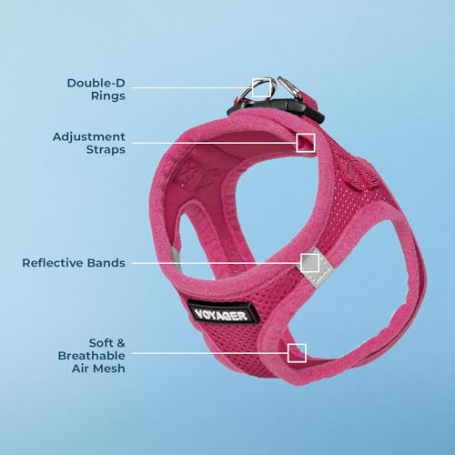 Best Pet Supplies Voyager Step-in Air Harness - All Weather Mesh, Reflective, No Pull Harness for Dogs, Cats - Secure with Hook & Loop Fastener, Buckle, Double D-Rings - Fuchsia, S
