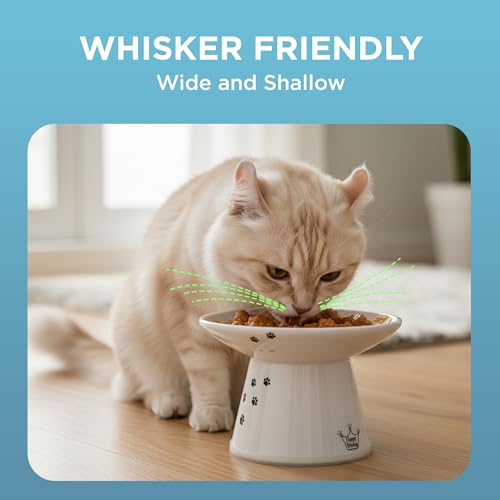 Necoichi Elevated Cat Food Bowl, Ceramic (Porcelain), Whisker-Friendly, Dishwasher & Microwave Safe, Non-Slip Silicone Base, Anti-Vomiting & Neck Fatigue (Cats, Extra Wide, 2-Cups Capacity)
