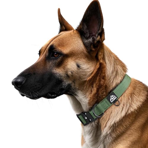 Tacwild Dog Collar for Large Dogs - Adjustable, Chew Proof Nylon Collar with Metal Quick Release Buckle and D-Ring for Dog Tags (Dark Green, L)