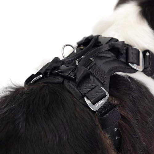 Ezydog Drive Dog Car Harness – Crash Tested and Certified (US-FMVSS 213) Dog Seat Belt Harness for Safe Travel, Adjustable with Padded Comfort (Medium)