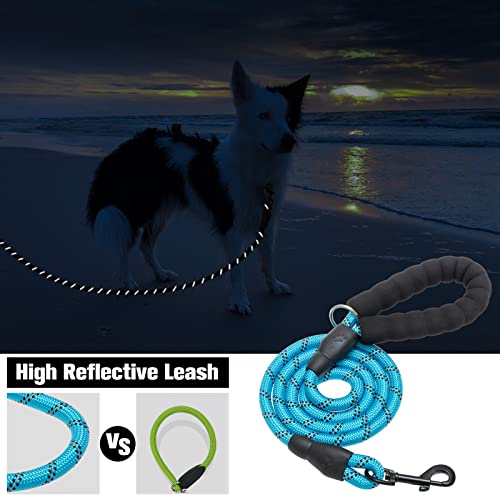 BEAUTYZOO Heavy Duty Rope Dog Leash 6 Pack, 6FT Nylon Pet Leash with Reflective Thread, Soft Padded Handle Thick Lead Leash for Large Medium Dogs Small Puppy,3/8inch X 5 FT (18~120 lbs)