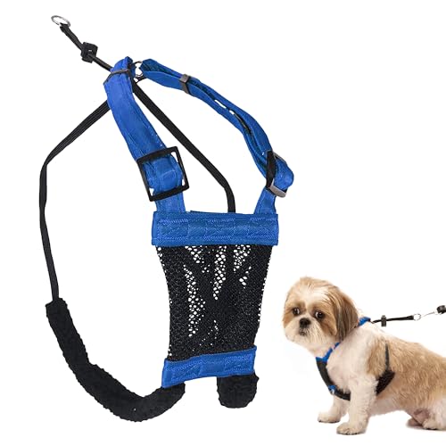 Sporn No Pull Dog Harness, Durable Nylon Mesh Harness for Small Dogs, No Choke Design, Padded Restraint Sleeves, Adjustable Fit, Easy On/Off, Ideal for Small Breeds, Blue