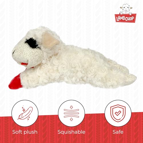 Multipet Lamb Chop Dog Plush Toy - Squeaky Toy for Small & Medium Dogs - Extra Soft Plush - Stuffed Animal for Cuddling & Playing (10", Cream, 5 Squeakers)