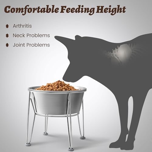 Wellbro Elevated Dog Bowls for Large & Medium Dogs - Stainless Steel 64oz/8 Cup Raised Feeder with Non-Slip Base, Dual Food & Water Bowls 2-Pack