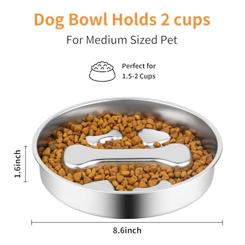 Novery Slow Feeder Dog Bowl - 2 Cups Stainless Steel Dog Slow Feeder Food Bowl, Metal Non-Slip Lick Plate,Puppy or Cat Food Holder,Pet Supplies,Puzzle Maze Dish for Medium Sized Breeds