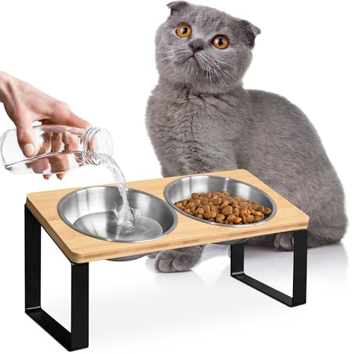 Raised cat Bowls for Indoor Cats by WinTruffles, Elevated cat Bowls, Tilted and Elevated Anti Vomiting Cat Dishes for Food and Water, Set of 2 Stainless Steel Bowl