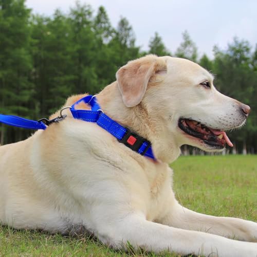 Joytale Martingale Collar for Dogs, Reflective Escape Proof Training Dog Collars with Safety Lock Buckle, No Slip Soft Nylon for Large Dogs, Navy Blue, L
