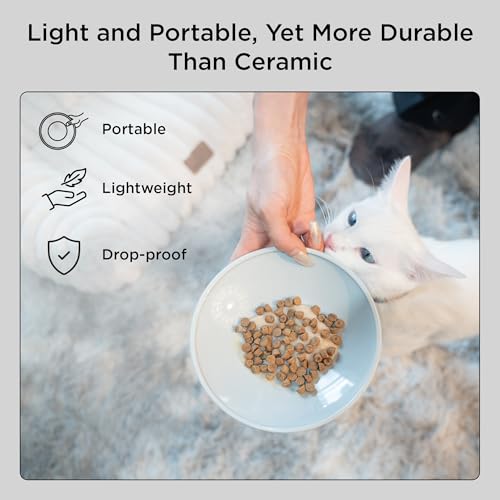 Necoichi 2pcs Extra-Wide Elevated Cat Food Bowls – BPA-Free Plastic Raised Bowls to Reduce Whisker & Neck Fatigue – Dishwasher Safe – Non-Slip, Anti-Vomiting Ergonomic Design(Classic)