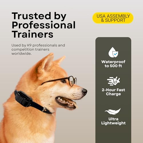 Mini Educator E-Collar ET-300 / ET-302 Dog Training Collar System with Remote - 1/2 Mile Range - Waterproof, Vibration, Sensation - Includes eOutletDeals Pet Towel (1 Dog System - ET-300 Black)