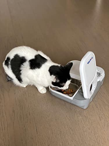 Closer Pets C200 2 Meal Timer-Controlled Automatic Pet Feeder - for Cats and Small Dogs, Wet or Dry Food, Stainless Steel Bowl Inserts and Ice Pack, up to 14 oz Each, White