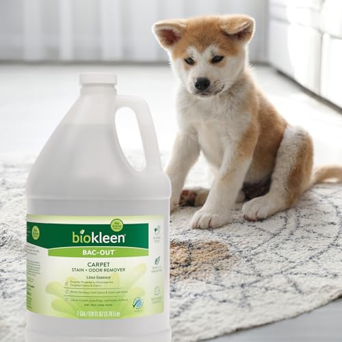 Biokleen Bac-Out Enzyme Cleaner and Stain & Odor Remover for Pet Stains, Laundry, Diapers, Wine, Carpets, & More, Eco-Friendly, Non-Toxic, Lime Scent, 128 Ounces