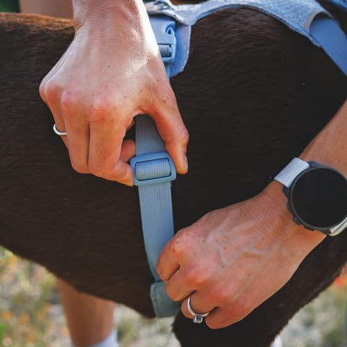 Ruffwear, Front Range Flex Dog Harness, Engineered Knit Construction for Ultimate Fit and Mobility, Lightweight Flexible Everyday Harness with Dual Leash Clips, Rose Violet, Medium
