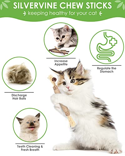 TINDTOP Catnip Chew Toys for Cats, 12 Pack Natural Silvervine Sticks for Kittens Teeth Cleaning, Matatabi Dental Care, Increase Appetite, Calm Cat Anxiety and Stress, Aggressive Chewers Cat Dental Toy