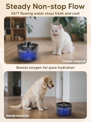 Automatic Cat Feeder and Water Fountain, 4L/16 Cups Timed Cat Dry Food Dispenser, 10s Meal Call, 20 Portions 6 Meals Per Day, 2L Cats Fountains for Drinking with Filter, Pet Feeder for Dog White