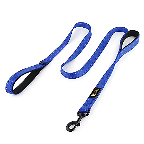 Plutus Pet Dog Leash 6ft Long,Traffic Padded Two Handle,Heavy Duty,Reflective Double Handles Lead for Control Safety Training,Leashes for Large Dogs or Medium Dogs,Dual Handles Leads(Navy Blue)