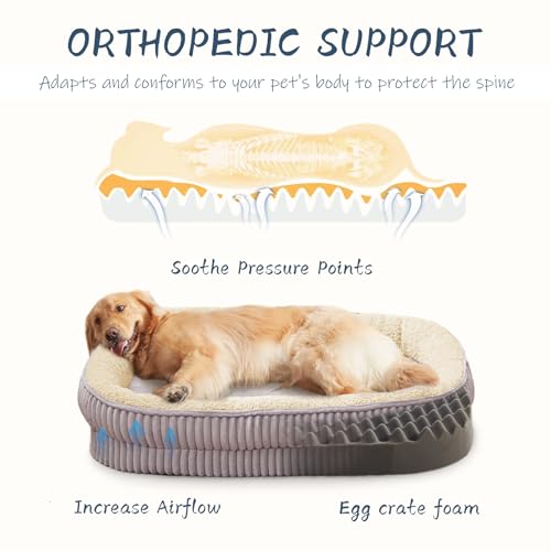 DEBANG HOME Orthopedic Dog Bed for Medium Dogs Breeds, High Density Egg Crate Foam Dog Sofa Beds,Oval Kennel Bed, Pet Couch Bed with Four Sided Bolster, Removable Washable Cover& Non-Slip Bottom