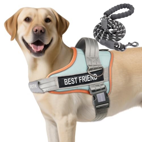 AUROTH Dog Harness and Leash Set, Soft Padded Service Dog Vest with 5.25FT Dog Leash, No Choke, Easy On Pet Vest, Adjustable Reflective No Pull Pet Vest Medium Sized Dog, Easy Walking and Training