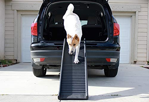 PawStep 61" Folding Pet Ramp, Portable Dog Ramp for Cars, SUVs, Beds & Couches, Lightweight PP Construction, Textured Surface, Optional Carpet for Added Traction, 165 lb Capacity (50524)