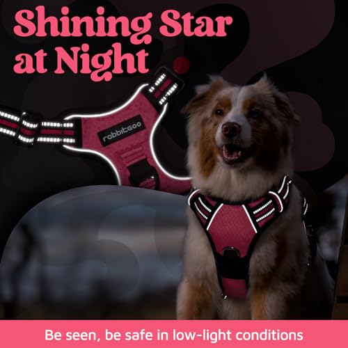 rabbitgoo Dog Harness for Large Dogs, 3 Buckles Easy On & Off No Pull Pet Vest, Soft Padded Walking Pet Harness with Control Handle, Adjustable and Reflective, Pink, L