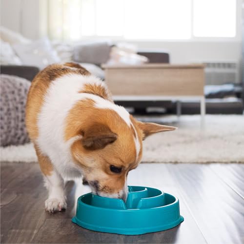 Outward Hound Fun Feeder Slo Bowl – Medium 2‑Cup Capacity, Slow Feeding, Small to Medium Dogs & Cats, Non-Slip, Turquoise, Drop Pattern