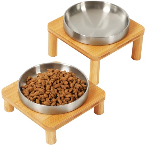 DoogCat Elevated Cat Bowls for Indoor Cats – Raised Bamboo Cat Bowl Stand with 5.5 Inch Wide Stainless Steel Dishes, Pet Food Table Plate for Easy Feeding, Whisker Friendly(Silver,Set of 2)