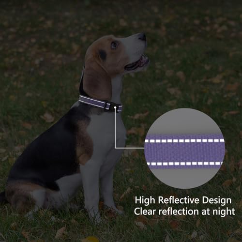 PenSeepet Reflective Dog Collar Padded with Soft Neoprene Breathable Quick Release Basic Dog Collars for Medium Dogs Purple Girl