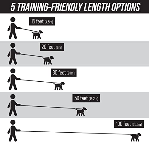 Leash Boss Free Range - Long Dog Leash for Large Dogs + Drawstring Backpack - 1 Inch Nylon Training Lead with Padded Handle (Black) (30 Ft)