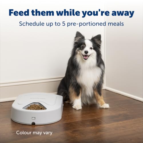 PetSafe Automatic Dog Feeder, 5 Meals, 40 oz Capacity, Plastic, for Dry Food, Multiple Pets
