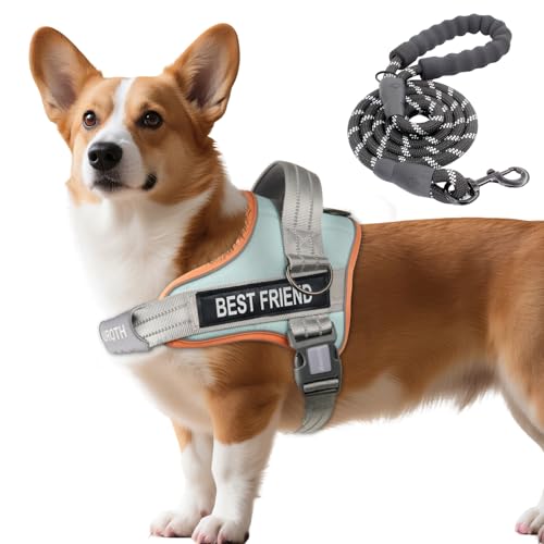 AUROTH Dog Harness and Leash Set, Soft Padded Service Dog Vest with 5.25FT Dog Leash, No Choke, Easy On Pet Vest, Adjustable Reflective No Pull Pet Vest Medium Sized Dog, Easy Walking and Training