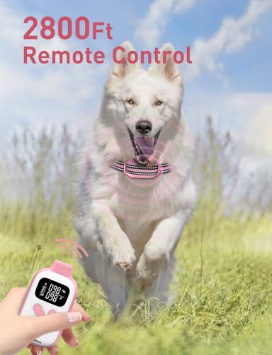DOGLinsen No Shock Dog Training Collar, Beep and Vibrating Dog Collar with Remote 2800Ft, Vibration Collar for Small Medium Large Dogs - No Prongs