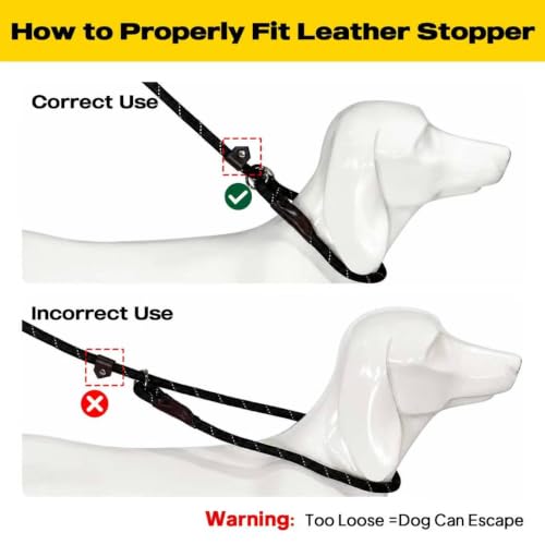 Fida Durable Slip Lead Dog Leash, 6 FT x 1/2" Heavy Duty Dog Loop Leashes, Comfortable Strong Rope Slip Leash for Large Medium Dogs, No Pull Pet Training Lead with Highly Reflective(1/2", Black)
