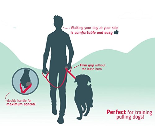 Leash Boss Original - Heavy Duty Dog Leash for Large Dogs - No Pull Double Handle Training Lead for Walking Big Dogs - Dog Leashes with Padded Handle for Control and Safety (Blue)
