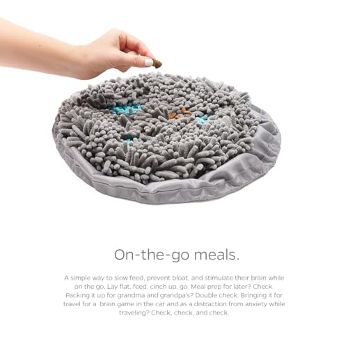 Pet Parents Forager Bowls, Slow Feeder Dog & Cat Bowls with SoftSnout™ & Non-Slip Backing, Portable Pet Puzzle Toys & Snuffle Mats, 30 oz, Modern Grey (Meadow Ponds)
