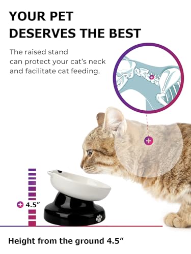 Y YHY Ceramic Cat Slow Feeder, Elevated Dog Food Bowl Tilted Design, Slow Feeder Bowl no Black Chin, Cat Shape for Dry and Wet Food